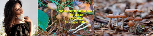 кристаллы Каменск-Шахтинский