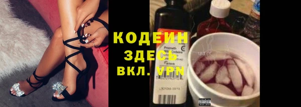 дурь Каменка