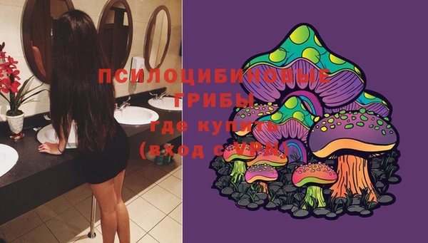 прущая мука Каменногорск