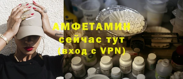 дурь Каменка