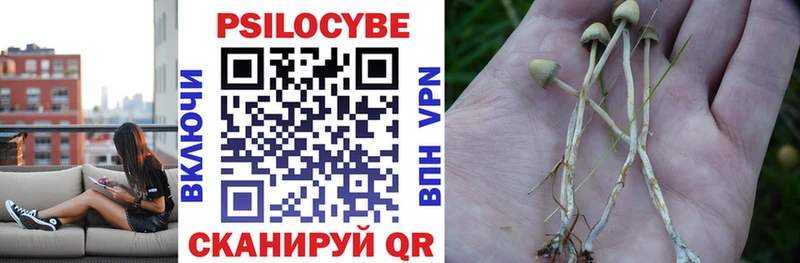 Псилоцибиновые грибы GOLDEN TEACHER  mega зеркало  Пушкино 